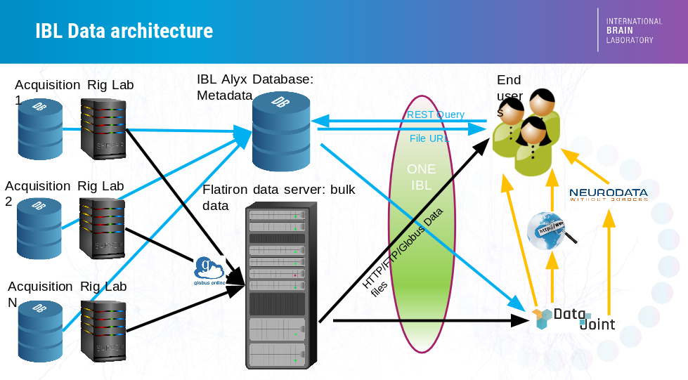 Alyx data structure