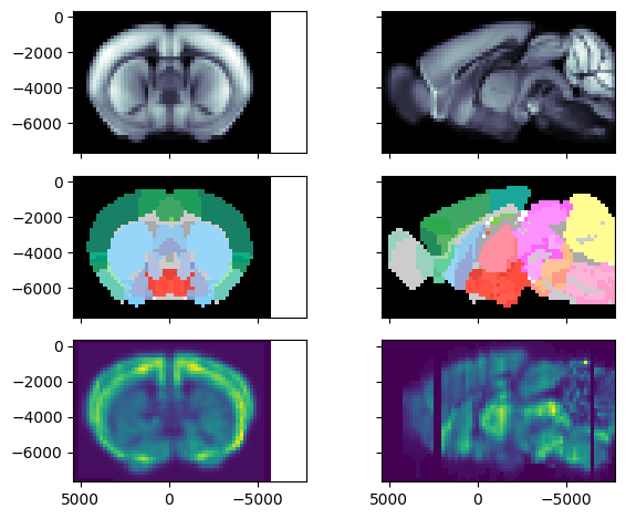 ../_images/notebooks_external_atlas_genomics_load_agea_3_0.png