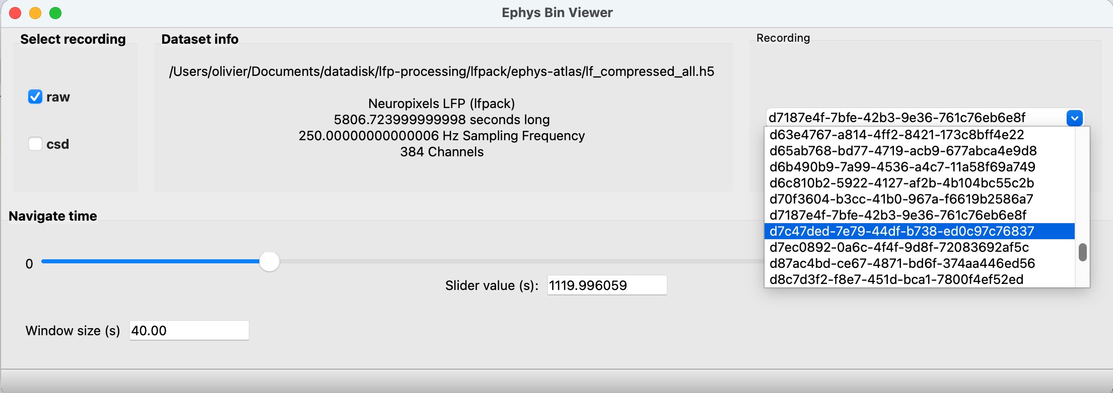 Ephys Bin Viewer window showing the searchable recording dropdown and raw/CSD checkboxes for an lfpack HDF5 file